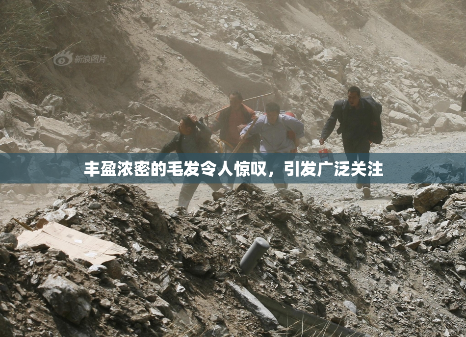 丰盈浓密的毛发令人惊叹，引发广泛关注