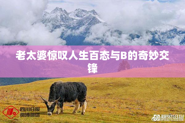 老太婆惊叹人生百态与B的奇妙交锋