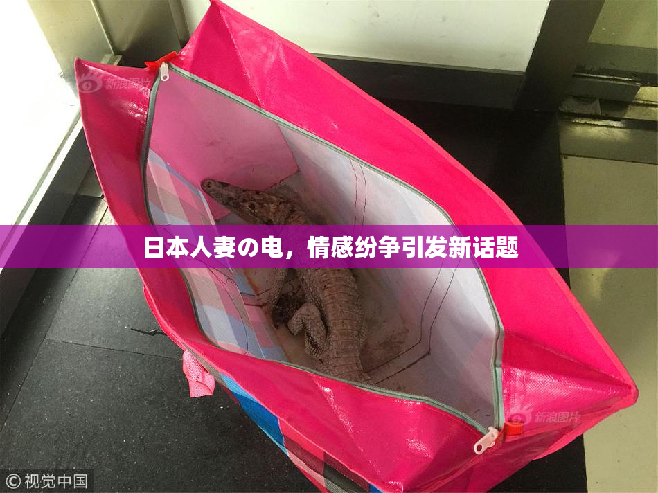 日本人妻の电，情感纷争引发新话题