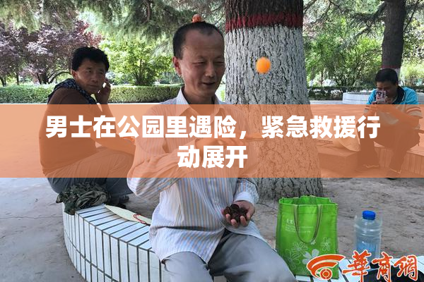 男士在公园里遇险，紧急救援行动展开