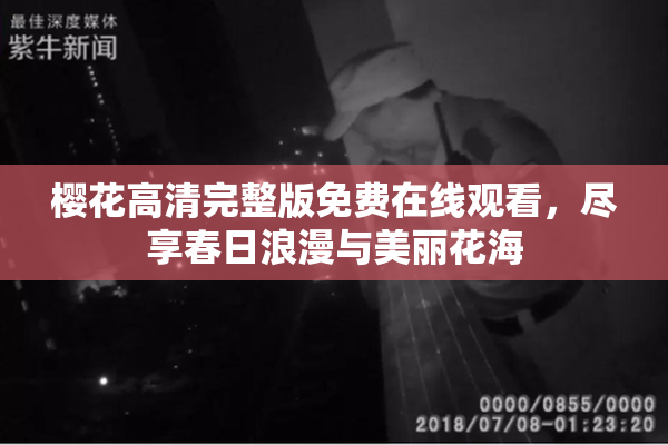 樱花高清完整版免费在线观看，尽享春日浪漫与美丽花海
