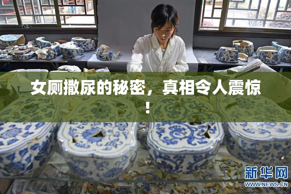 女厕撒尿的秘密，真相令人震惊！