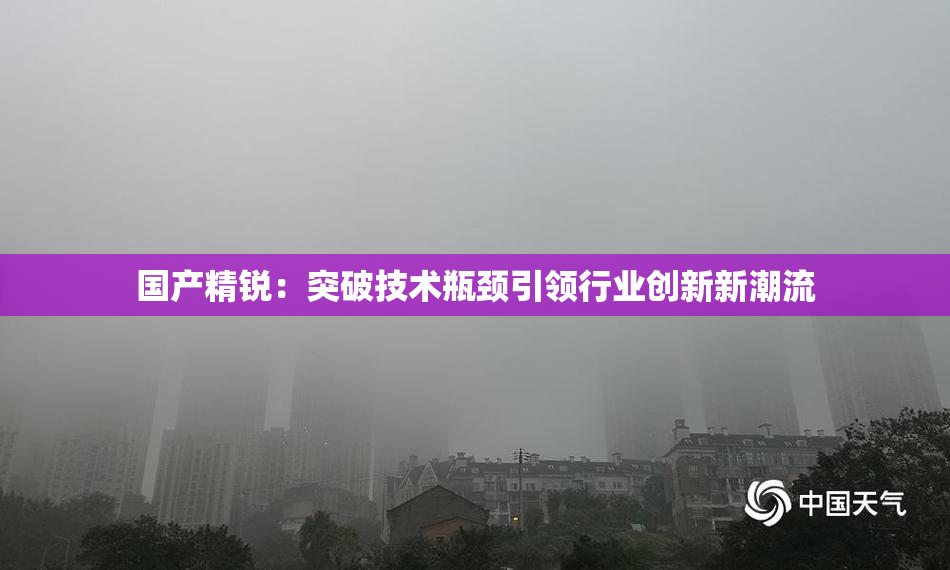 国产精锐：突破技术瓶颈引领行业创新新潮流