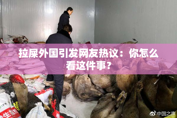 拉屎外国引发网友热议：你怎么看这件事？