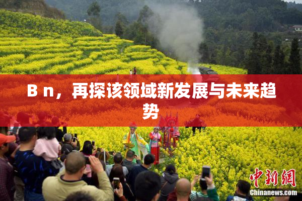 B n，再探该领域新发展与未来趋势