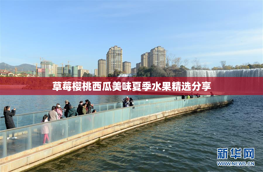 草莓樱桃西瓜美味夏季水果精选分享
