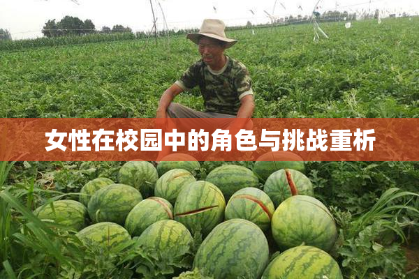 女性在校园中的角色与挑战重析