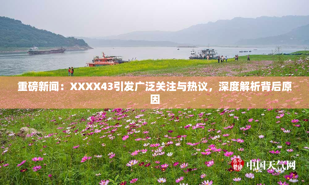 重磅新闻：XXXX43引发广泛关注与热议，深度解析背后原因