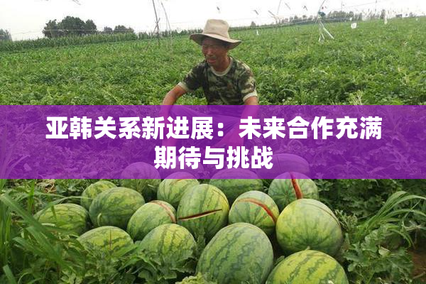 亚韩关系新进展：未来合作充满期待与挑战