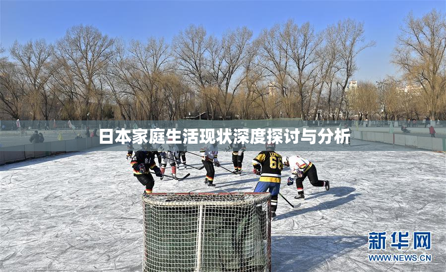 日本家庭生活现状深度探讨与分析