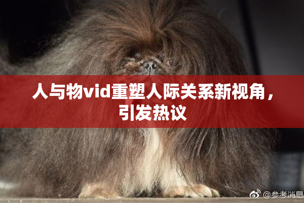 人与物vid重塑人际关系新视角，引发热议