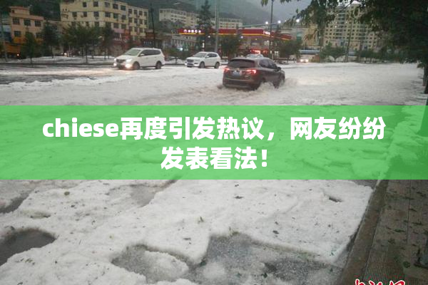 chiese再度引发热议，网友纷纷发表看法！