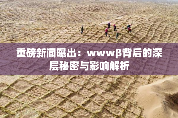 重磅新闻曝出：wwwβ背后的深层秘密与影响解析