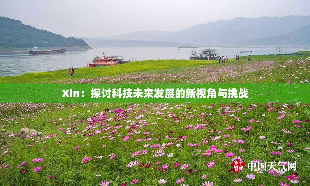 Xin：探讨科技未来发展的新视角与挑战