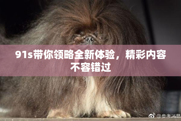 91s带你领略全新体验，精彩内容不容错过