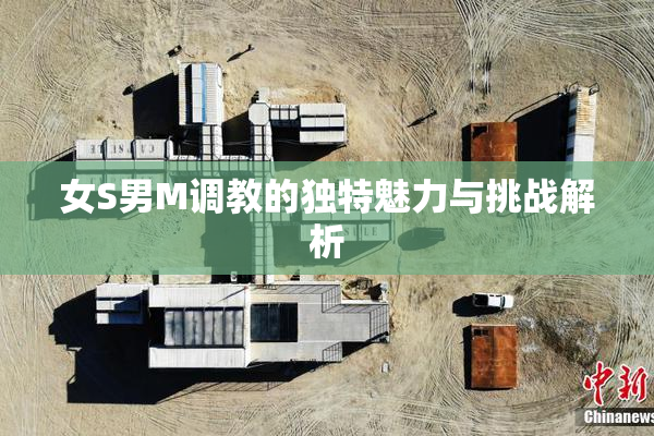 女S男M调教的独特魅力与挑战解析