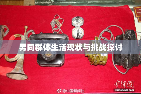 男同群体生活现状与挑战探讨