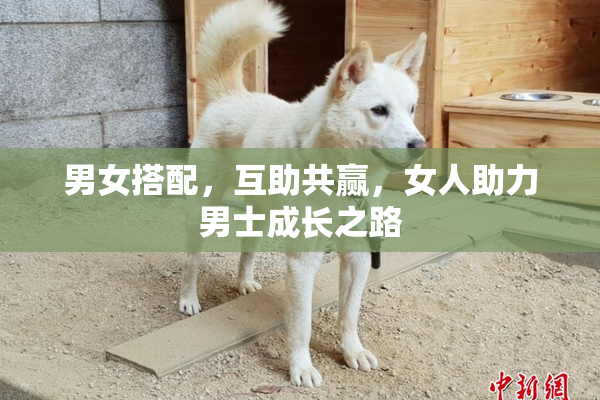 男女搭配，互助共赢，女人助力男士成长之路
