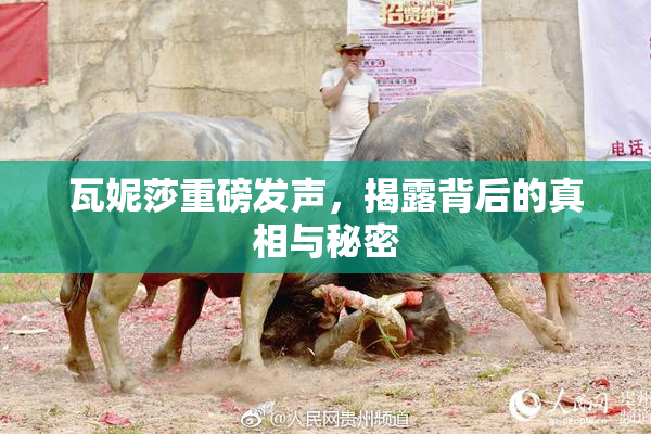 瓦妮莎重磅发声，揭露背后的真相与秘密