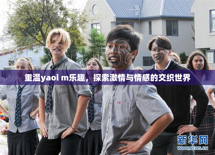 重温yaoi m乐趣，探索激情与情感的交织世界