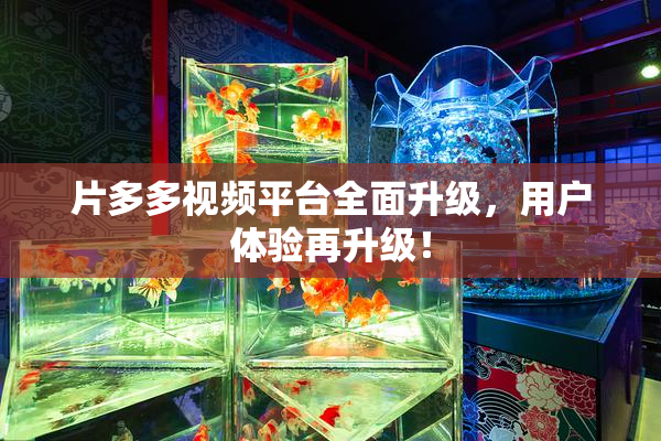 片多多视频平台全面升级，用户体验再升级！