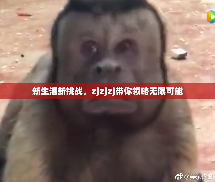 新生活新挑战，zjzjzj带你领略无限可能