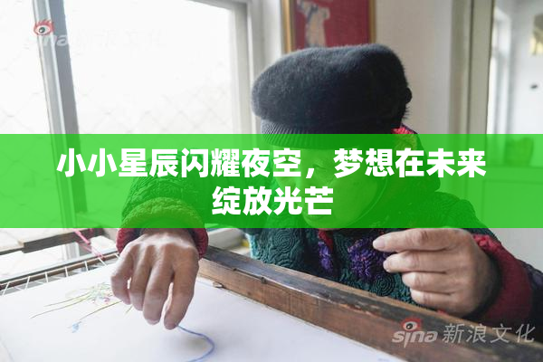 小小星辰闪耀夜空，梦想在未来绽放光芒