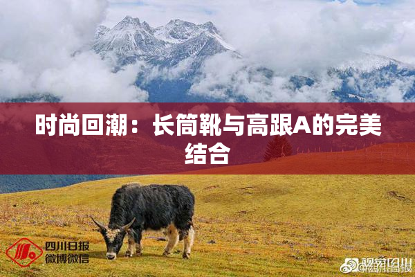 时尚回潮：长筒靴与高跟A的完美结合