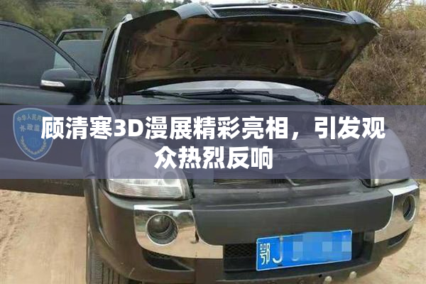 顾清寒3D漫展精彩亮相，引发观众热烈反响