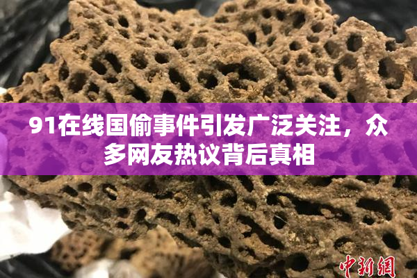 91在线国偷事件引发广泛关注，众多网友热议背后真相