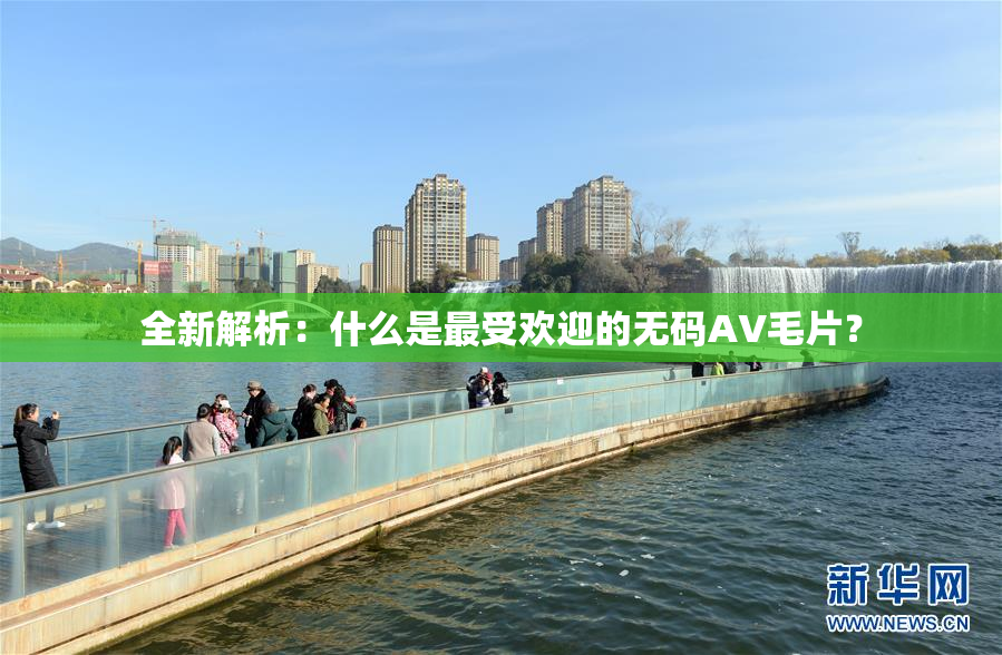 全新解析：什么是最受欢迎的无码AV毛片？