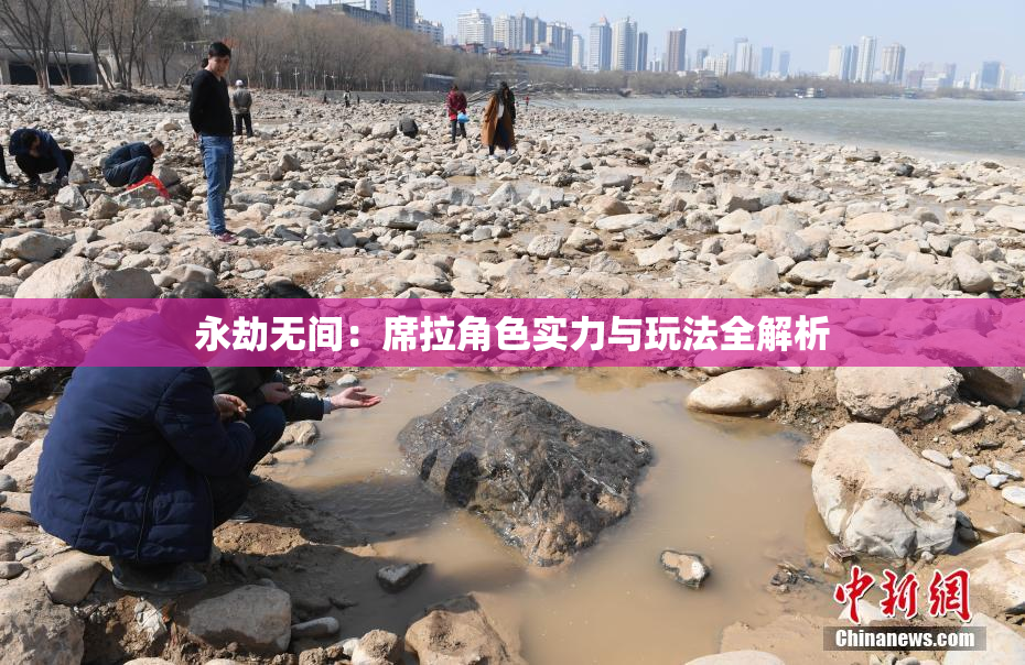 永劫无间：席拉角色实力与玩法全解析