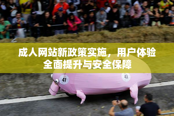 成人网站新政策实施，用户体验全面提升与安全保障