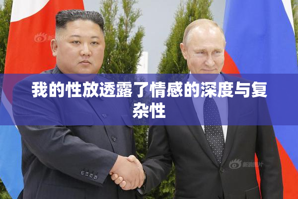 我的性放透露了情感的深度与复杂性