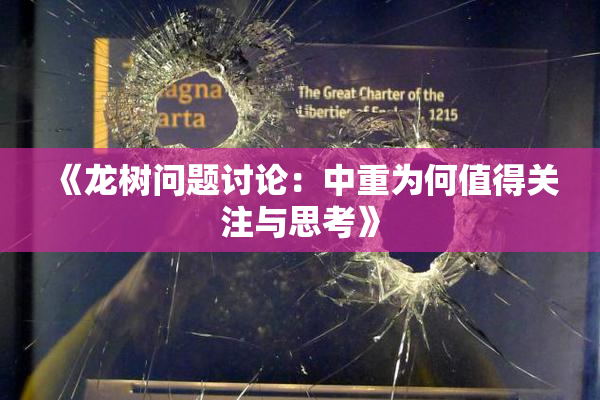 《龙树问题讨论：中重为何值得关注与思考》