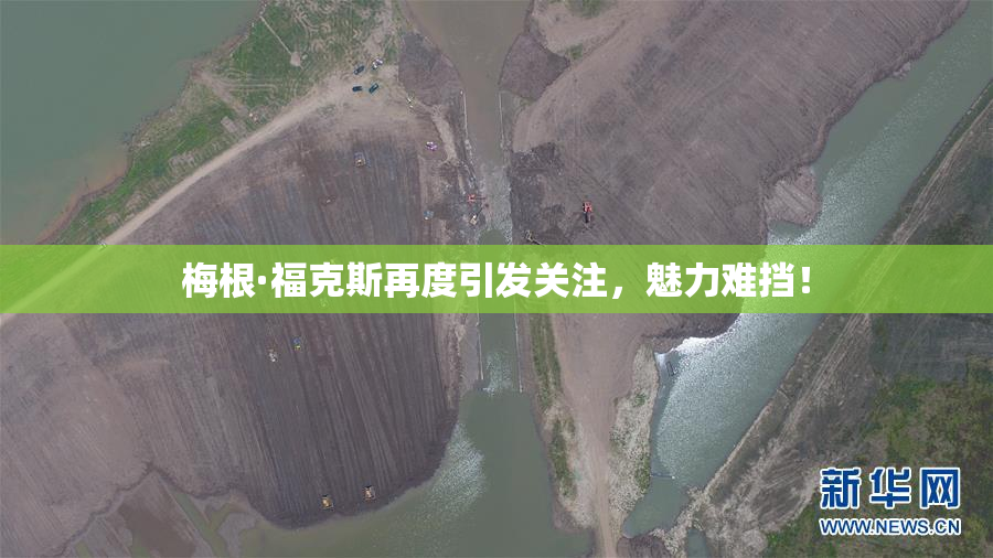 梅根·福克斯再度引发关注，魅力难挡！