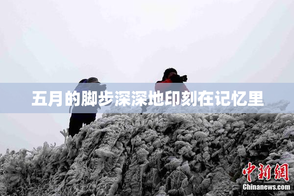五月的脚步深深地印刻在记忆里