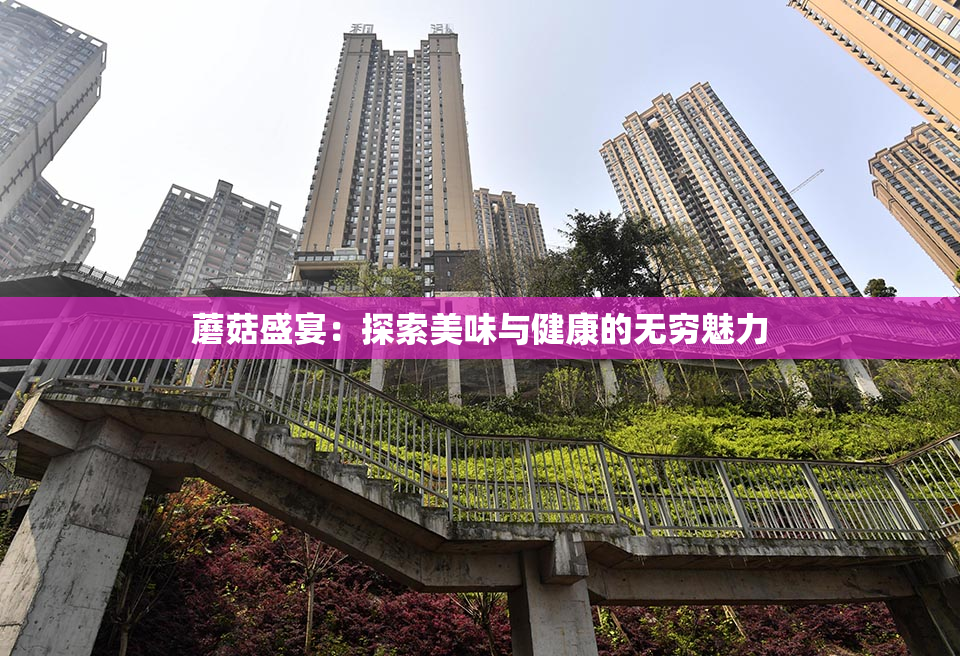 蘑菇盛宴：探索美味与健康的无穷魅力