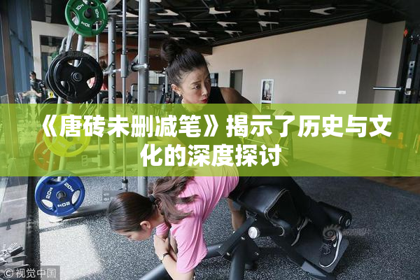 《唐砖未删减笔》揭示了历史与文化的深度探讨