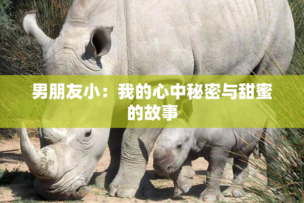 男朋友小：我的心中秘密与甜蜜的故事