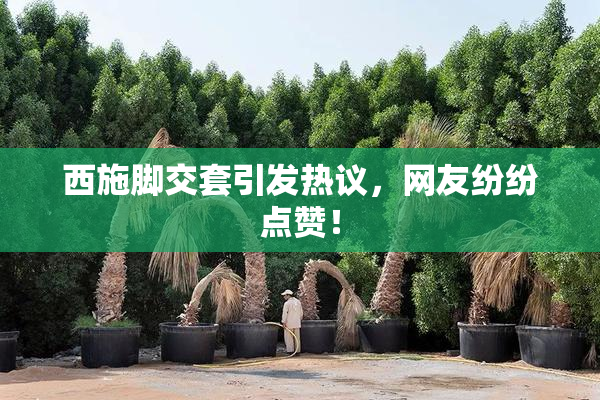 西施脚交套引发热议，网友纷纷点赞！