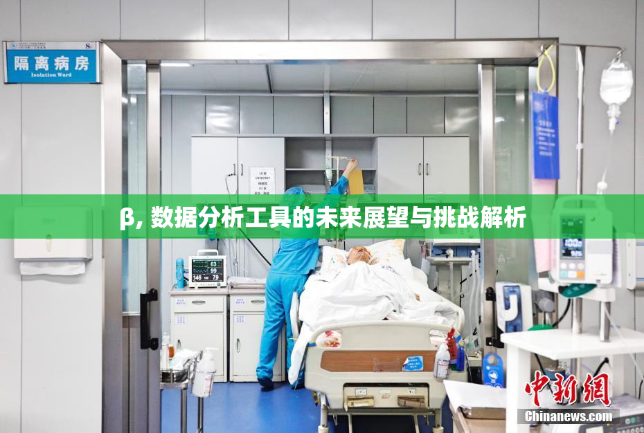 β, 数据分析工具的未来展望与挑战解析