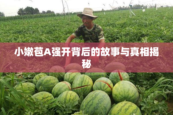 小嫩苞A强开背后的故事与真相揭秘