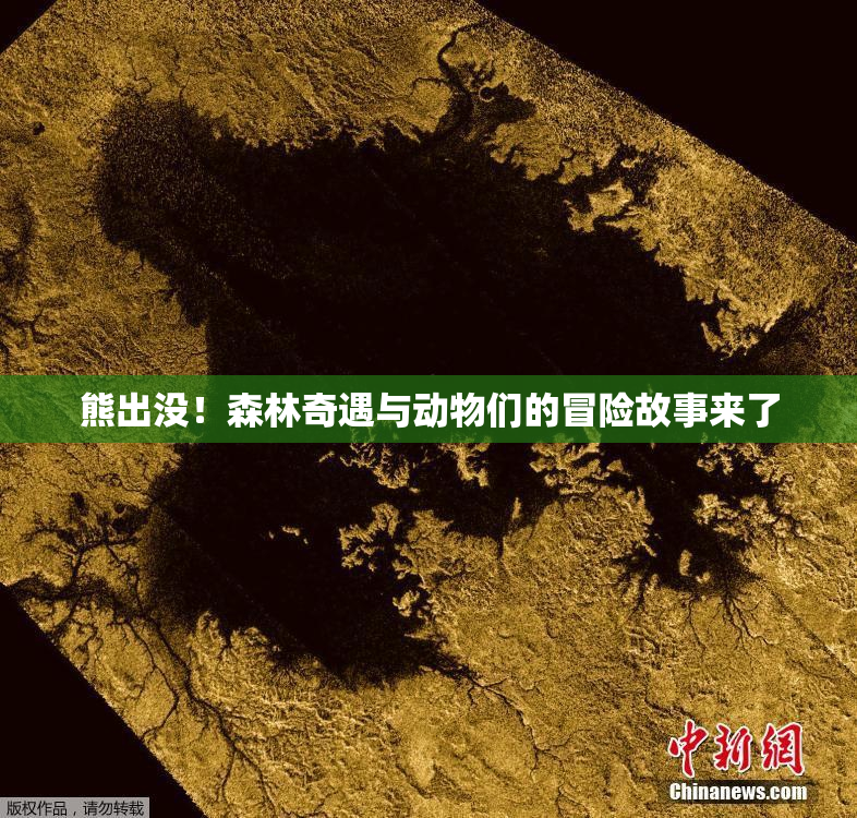 熊出没！森林奇遇与动物们的冒险故事来了