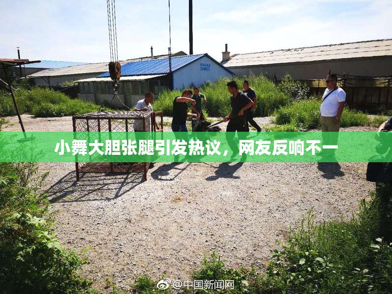 小舞大胆张腿引发热议，网友反响不一
