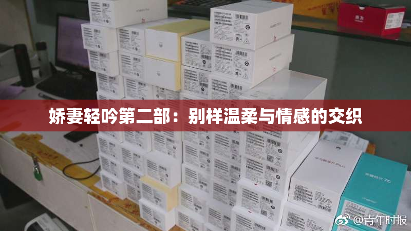 娇妻轻吟第二部：别样温柔与情感的交织