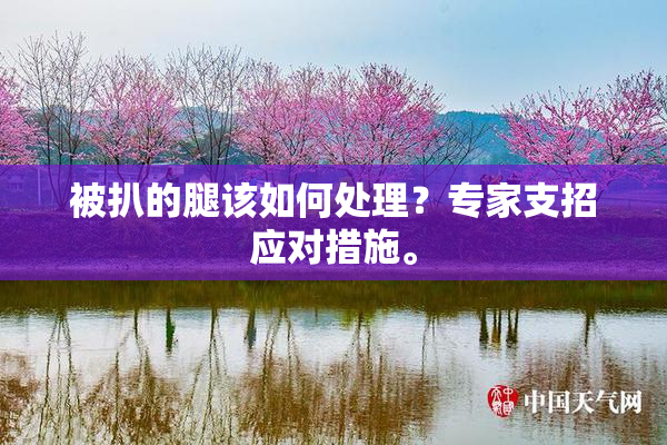 被扒的腿该如何处理？专家支招应对措施。