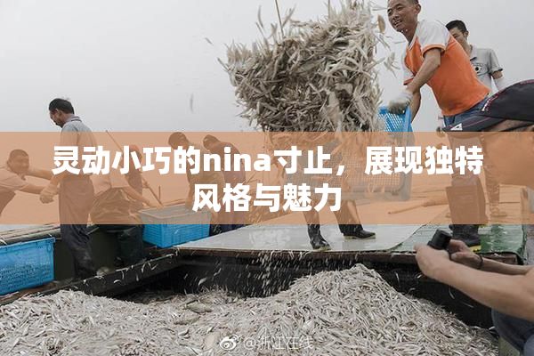 灵动小巧的nina寸止，展现独特风格与魅力