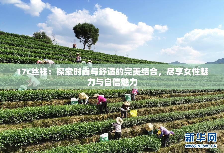 17c丝袜：探索时尚与舒适的完美结合，尽享女性魅力与自信魅力