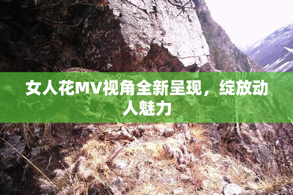 女人花MV视角全新呈现，绽放动人魅力